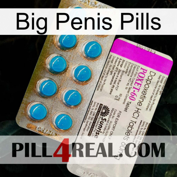Big Penis Pills new07
